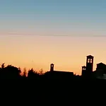 Flavia