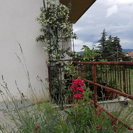 Flavia Cividale Del Friuli