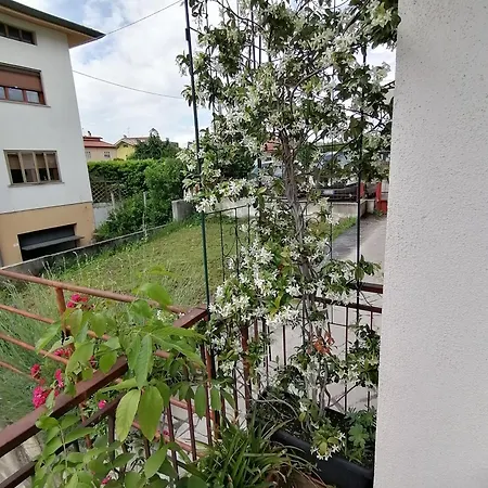 Apartment Flavia